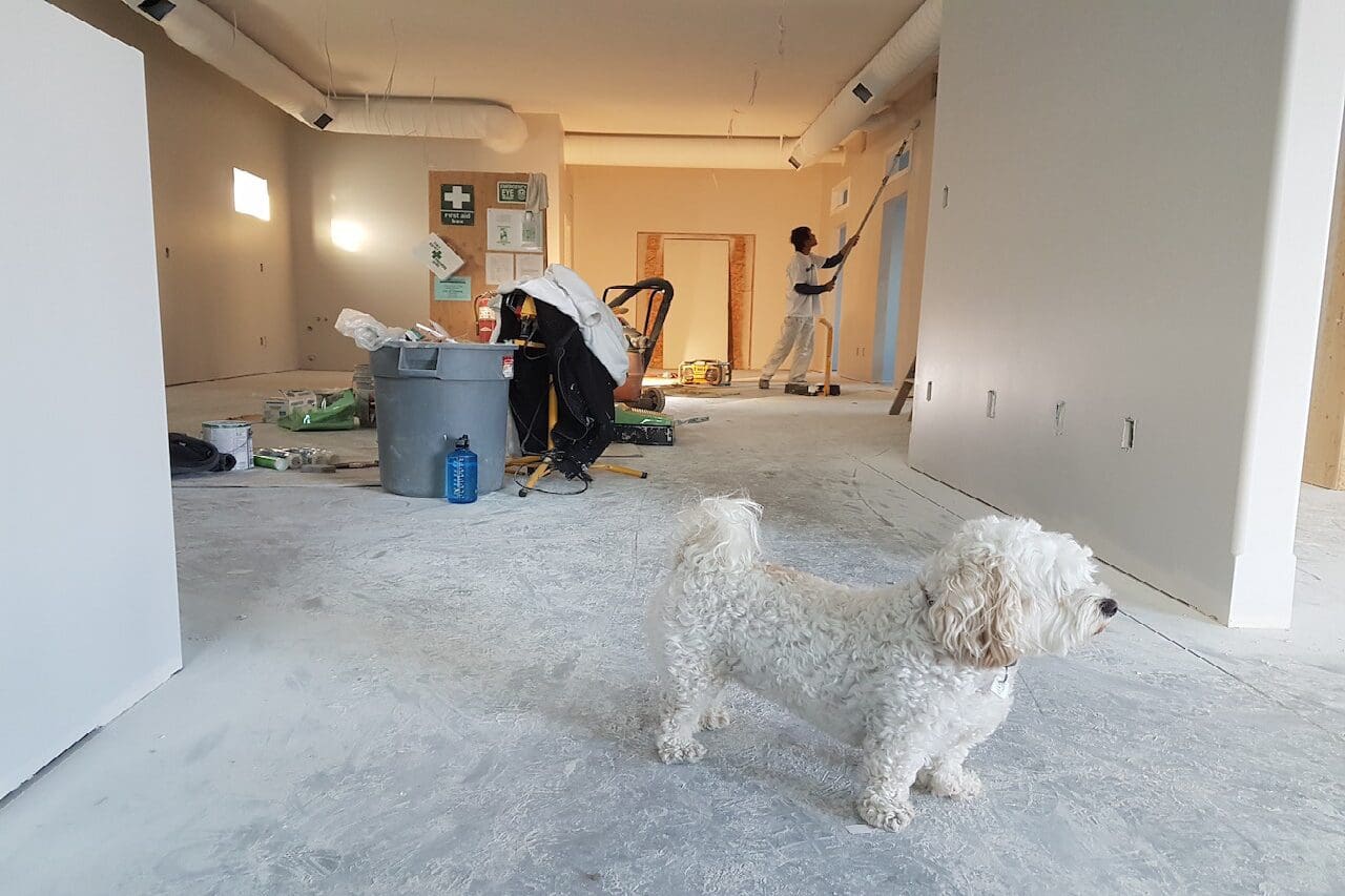 A white dog sitting in the middle of a room.